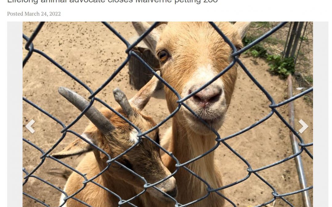 Party Pets of New York shuts down its Malverne petting zoo and retires the animals to reputable sanctuaries