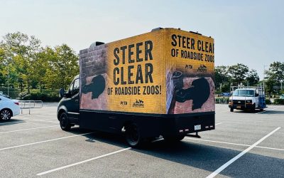 Brookhaven announces the closure of the Holtsville Ecology Site